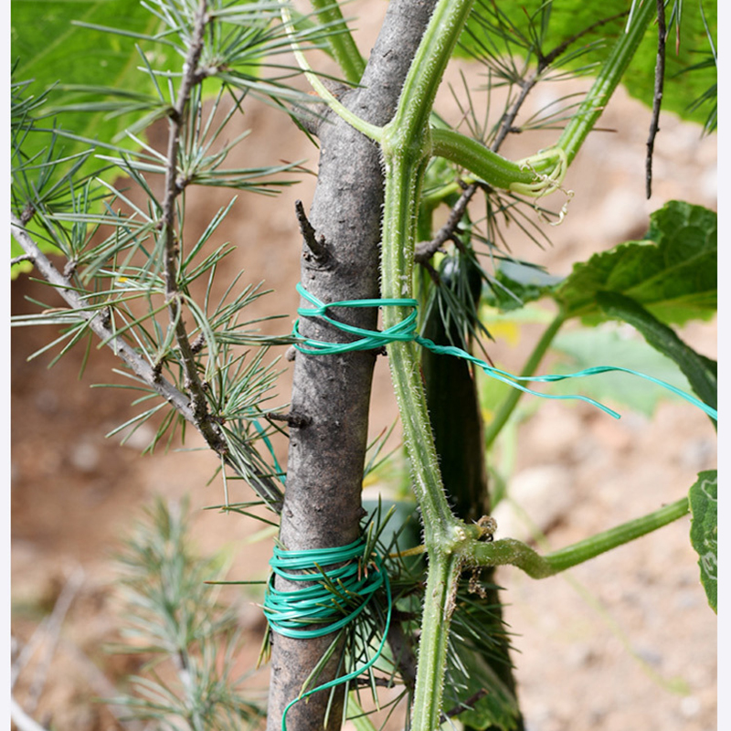 Garden Twist Ties Multifunctio - Garden Wire Twist Tie บทวิจารณ์และราคา