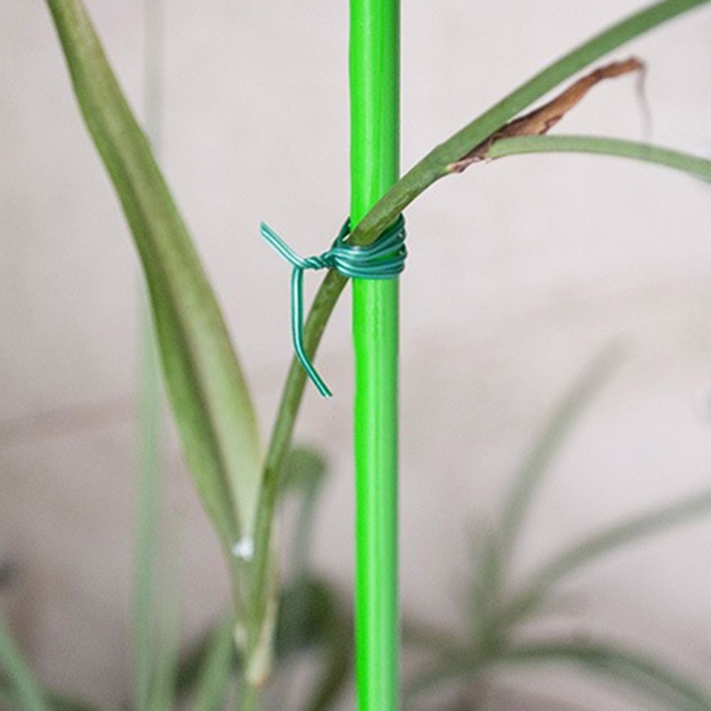 20/50/100m Garden Cable Ties P - Garden Wire Twist Tie บทวิจารณ์และราคา