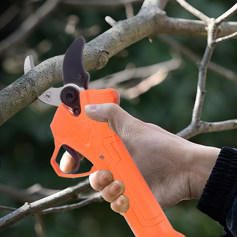 Hot Sale 42V Bodypack Electric - Gardening Tools For Sale บทวิจารณ์และราคา