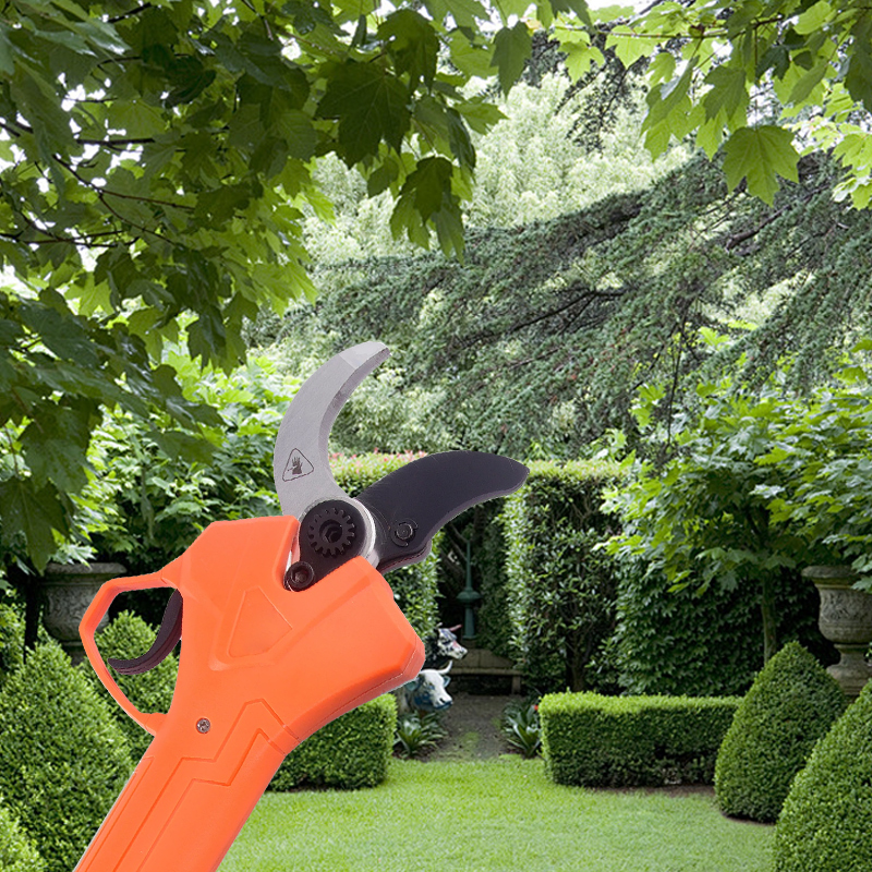Hot Sale 42V Bodypack Electric - Gardening Tools For Sale บทวิจารณ์และราคา