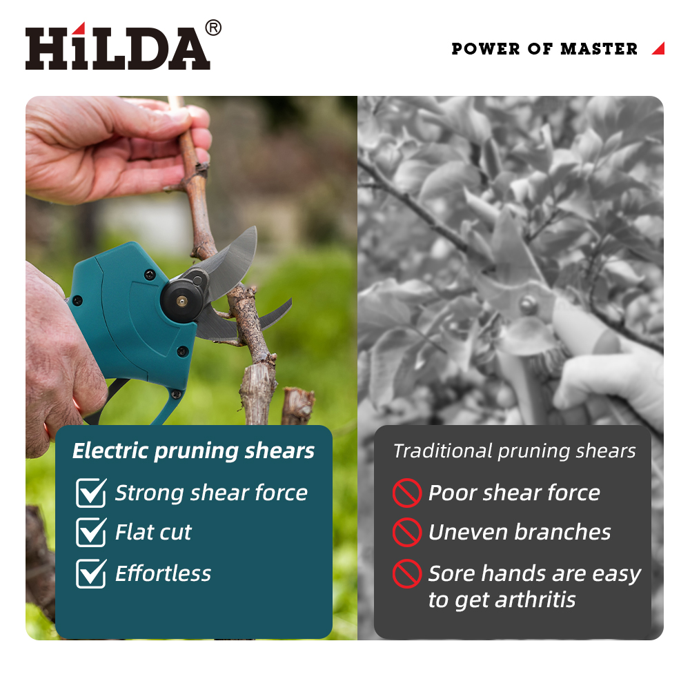 HILDA 18V Brushless Cordless E - Gardening Tools Basic บทวิจารณ์และราคา