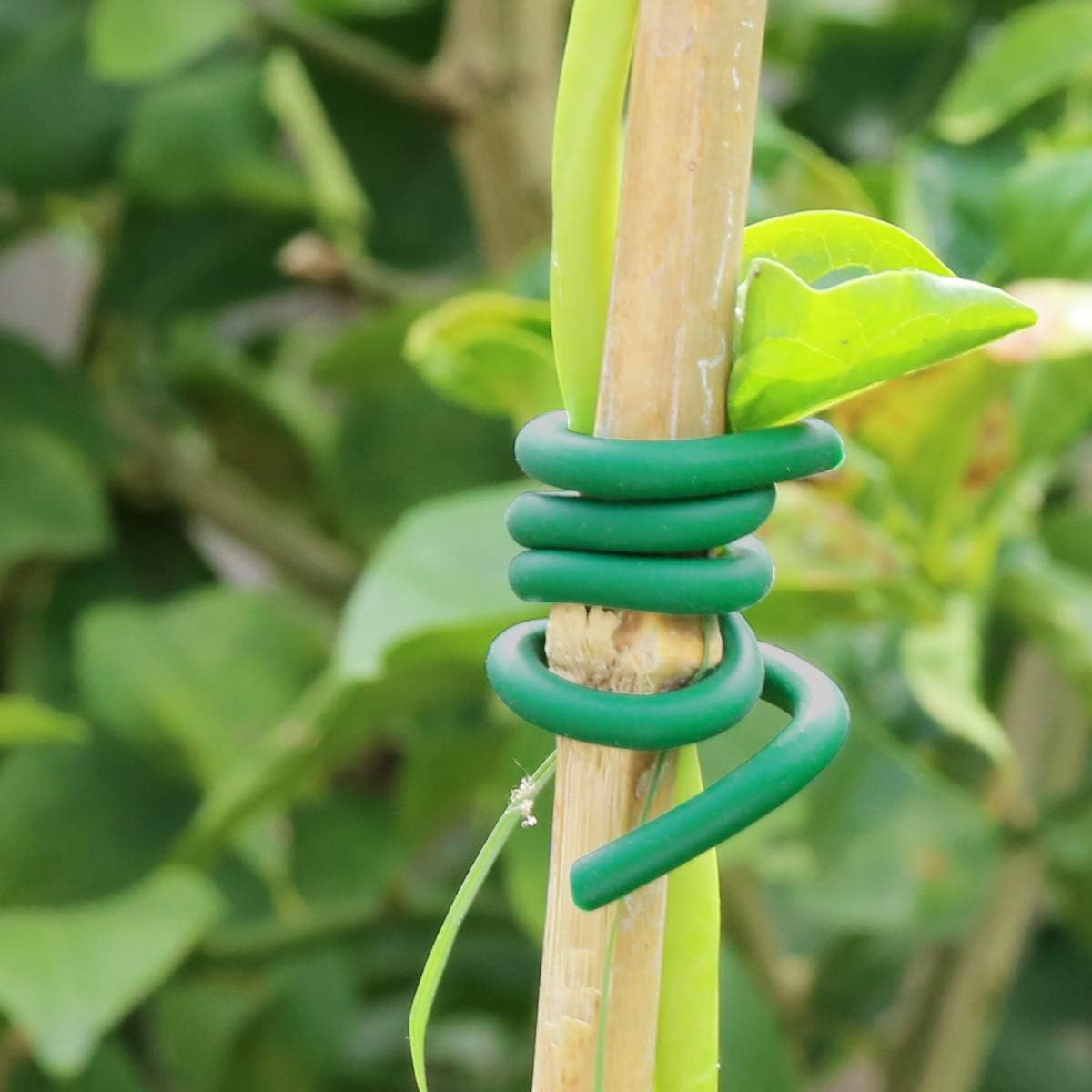 Garden Plants Climbing Tie Gre - Garden Wire Twist Tie บทวิจารณ์และราคา