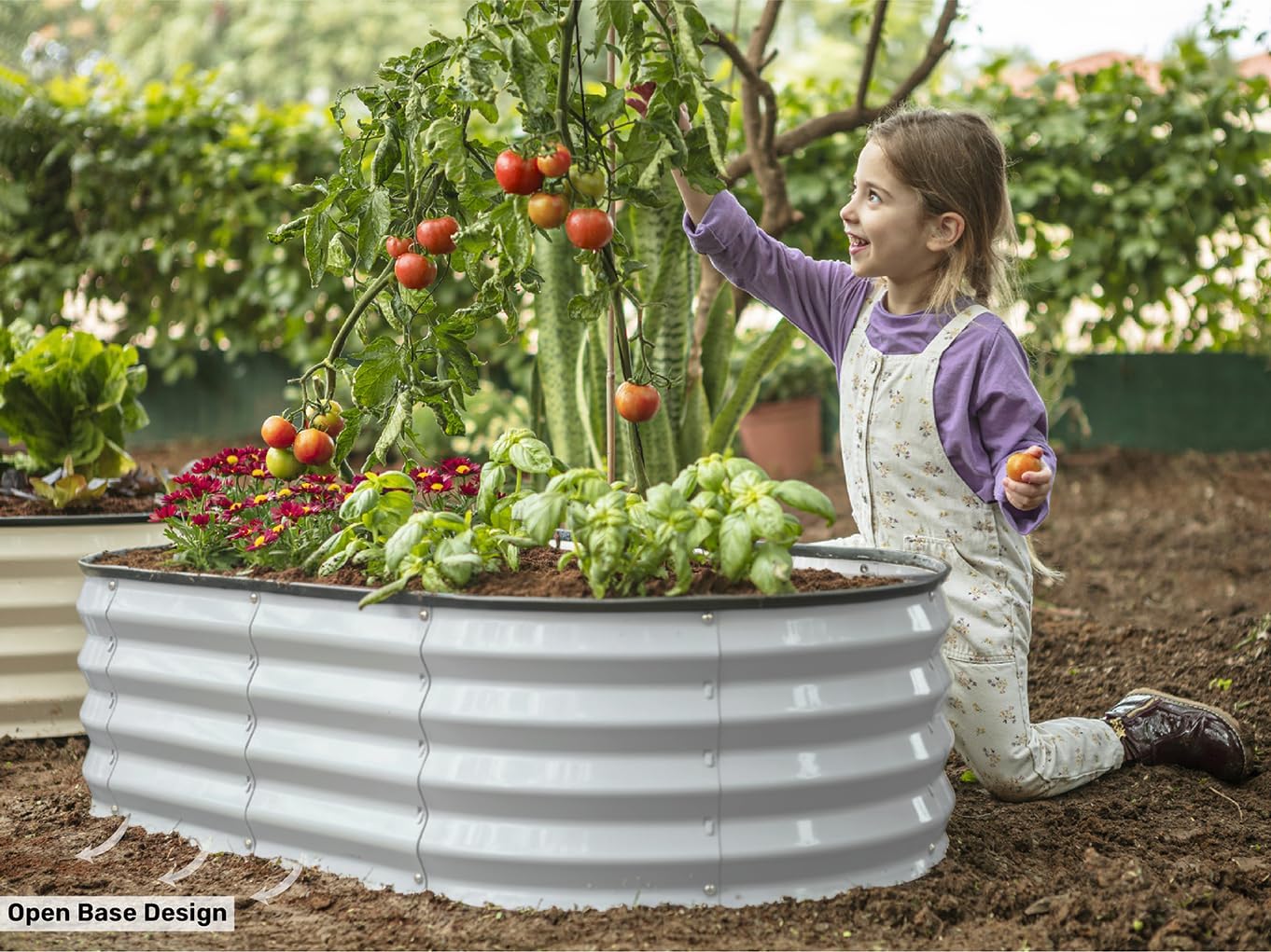 Galvanized Raised Garden Beds  - Gardening Tools Box บทวิจารณ์และราคา