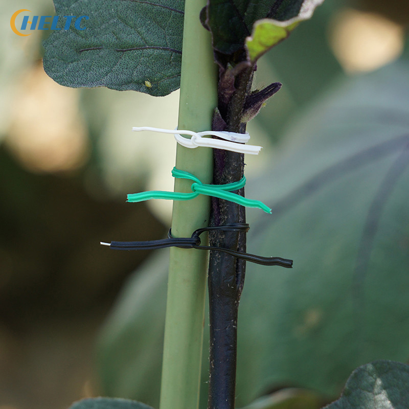 1Pcs  Plastic Coated Wire Gard - Garden Wire Twist Tie บทวิจารณ์และราคา