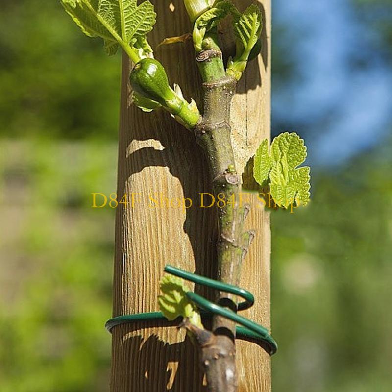 D84F Garden Wire Ties Plant Wi - Garden Wire Twist Tie บทวิจารณ์และราคา