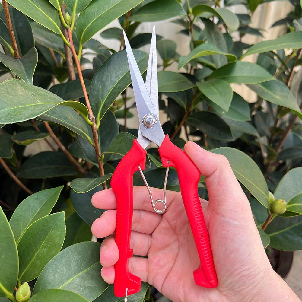 Pro Garden Pruning Shears Leng - Gardening Tools Basic บทวิจารณ์และราคา