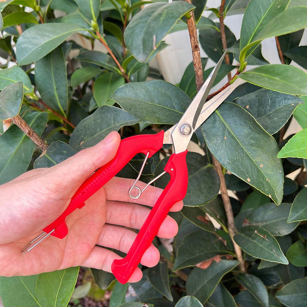Pro Garden Pruning Shears Leng - Gardening Tools Basic บทวิจารณ์และราคา