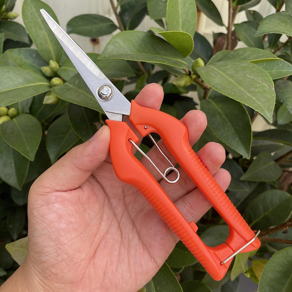 Pro Garden Pruning Shears Leng - Gardening Tools Basic บทวิจารณ์และราคา