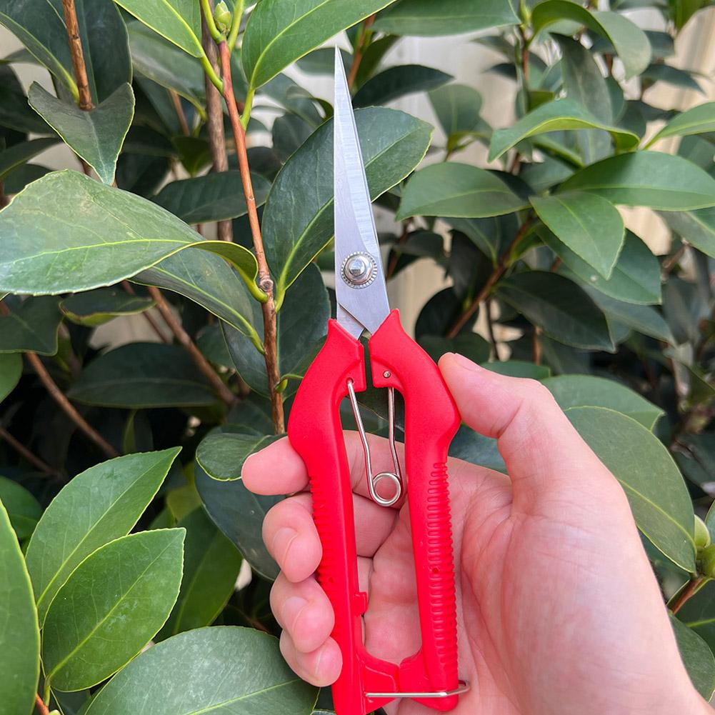 Pro Garden Pruning Shears Leng - Gardening Tools Basic บทวิจารณ์และราคา
