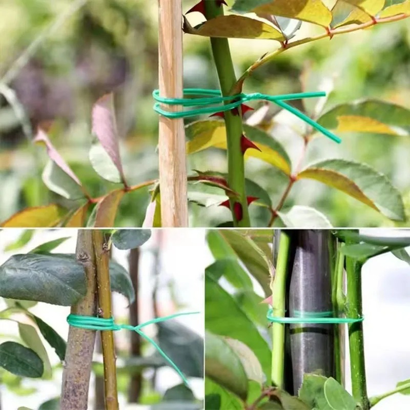 Garden Twist Ties Multifunctio - Garden Wire Twist Tie บทวิจารณ์และราคา